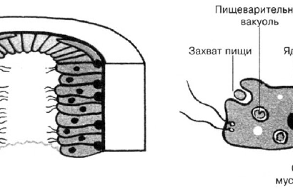 Кракен сайт 18at