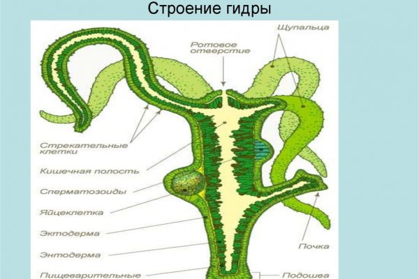 Ссылка на кракен на сегодня